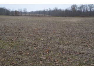 Property photo 30 - FARM AUCTION - 60.5+/- ACRES IN 5 TRACTS IN ALLEN COUNTY, INDIANA